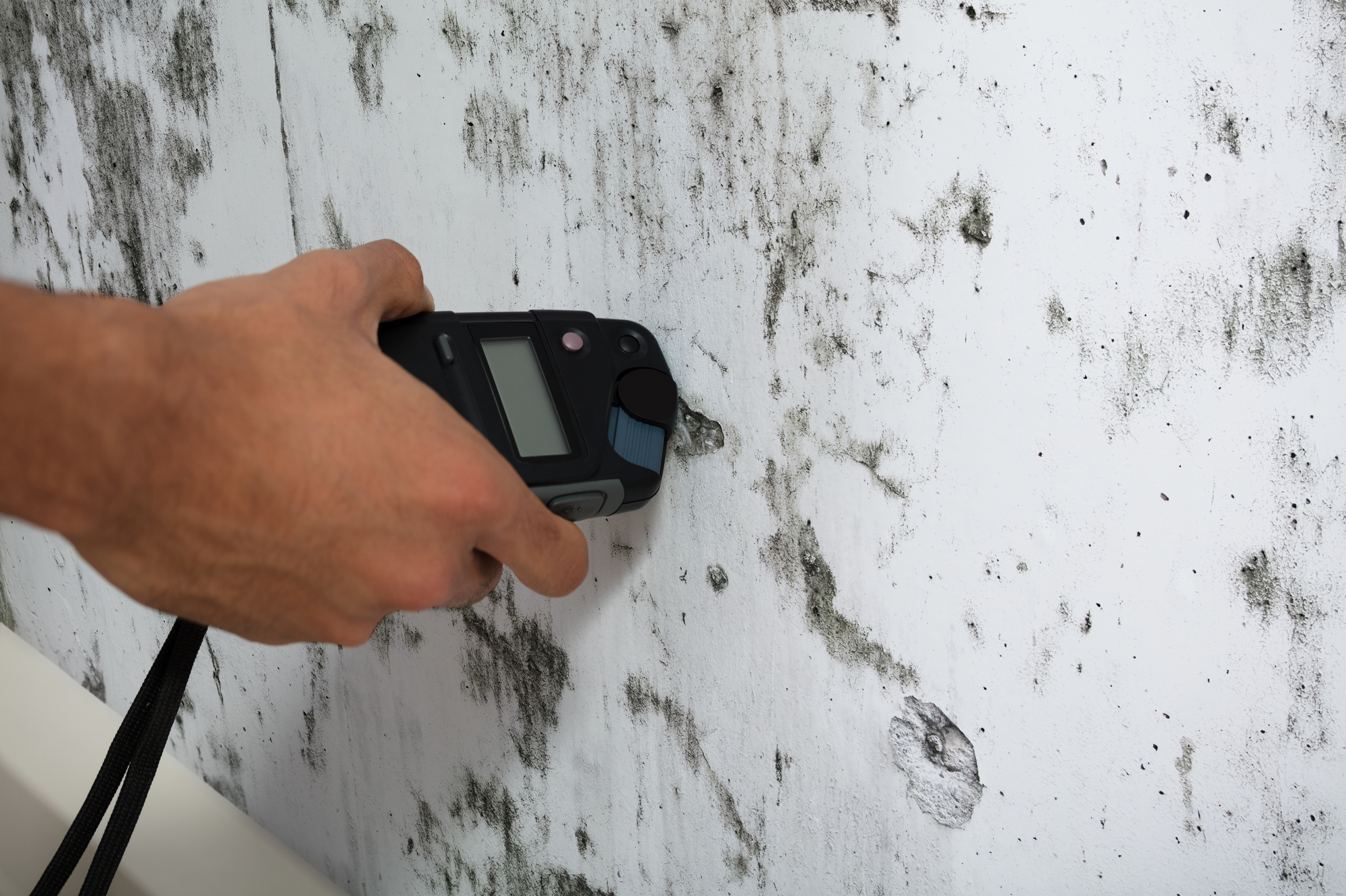 Mold-inspections